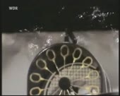 450x360