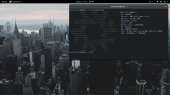 1366x768
