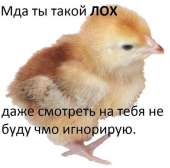 600x593