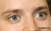 450x279