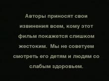 480x360