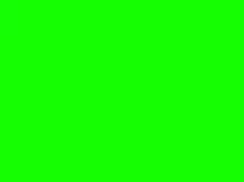 259x194