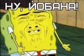 556x371