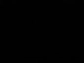 384x288