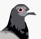 315x300