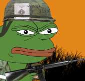 515x496