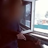 360x360