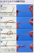 500x778
