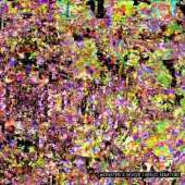 500x500