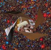 500x495