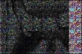 606x406