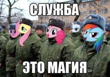 604x428