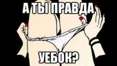 1269x720