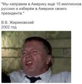 496x511