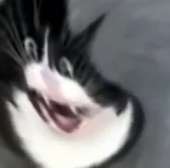 842x836