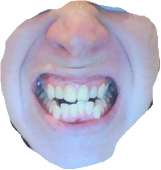 330x347