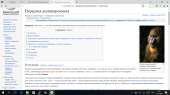 1366x768