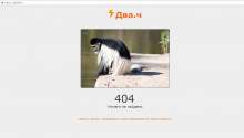 1379x786