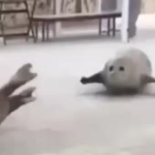 360x360