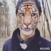 360x360