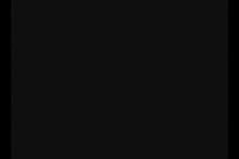 398x266