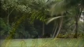 480x270