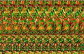 1024x666