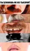 337x564