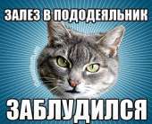 450x366