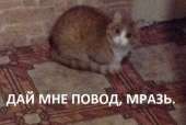 400x270