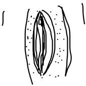 400x400