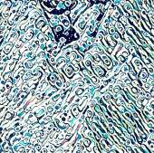1069x1067