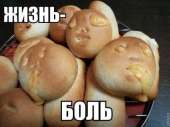 450x337