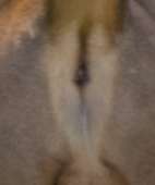 350x419
