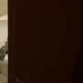 360x360