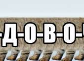 607x445