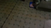 640x360