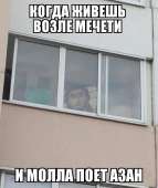 540x639