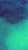 1080x1920