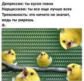 452x438