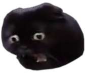 328x280