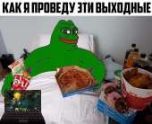 730x595