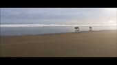 640x360
