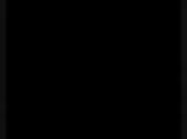 320x240