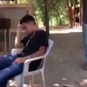 360x360