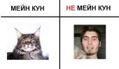 680x396