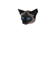 466x600
