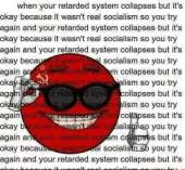 498x462