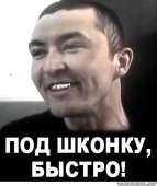 346x410