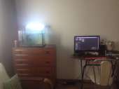 1280x960